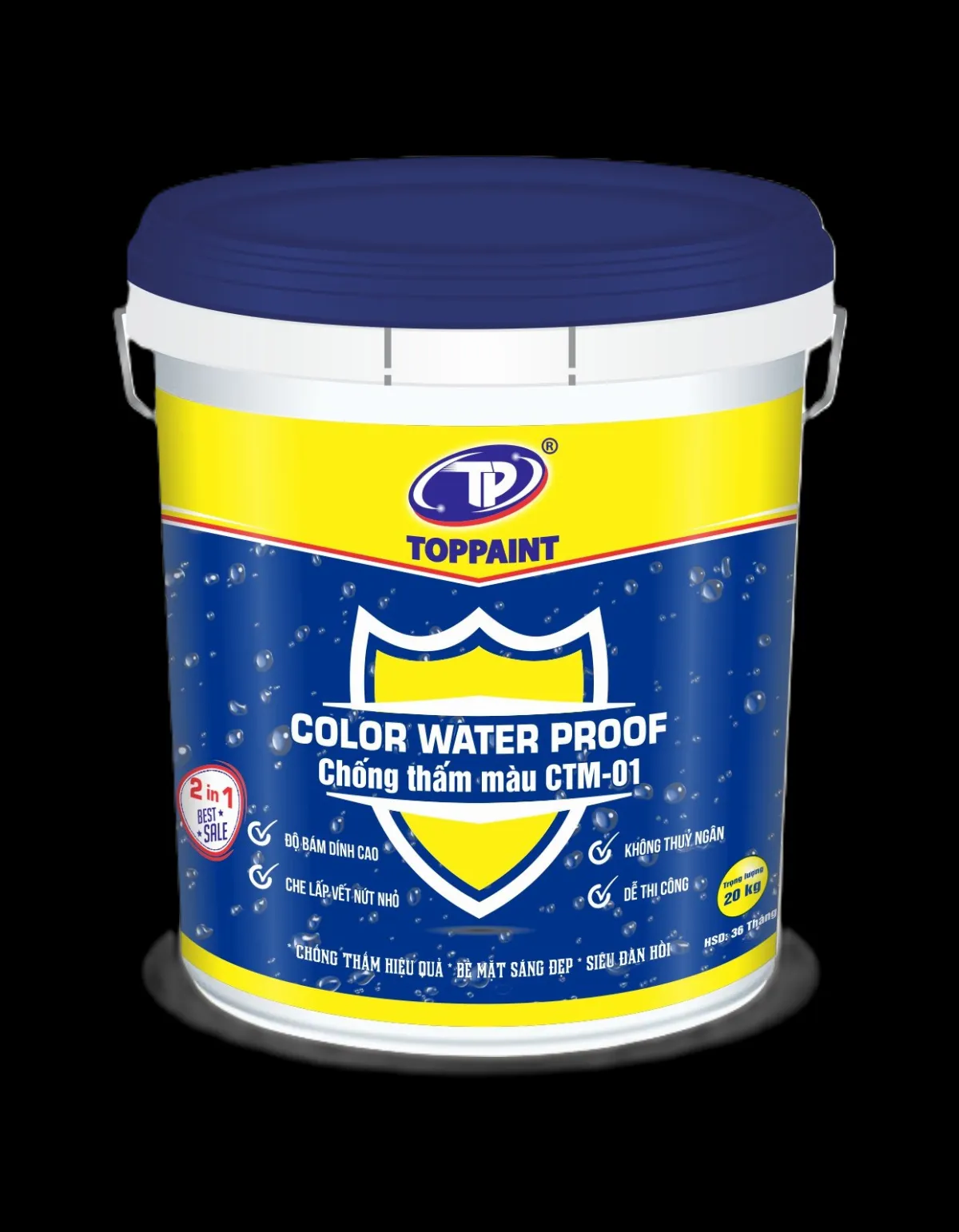 Sơn Chống thấm màu Color Water Proof CTM01 -4551