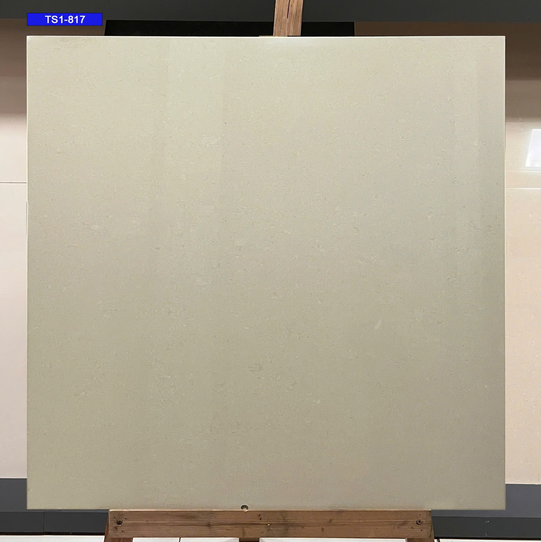 Gạch ốp lát 80x80cm Viglacera -4911