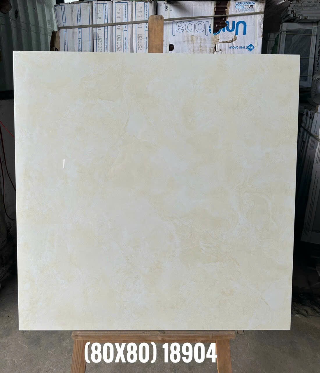 Gạch ốp lát 80x80cm -4924
