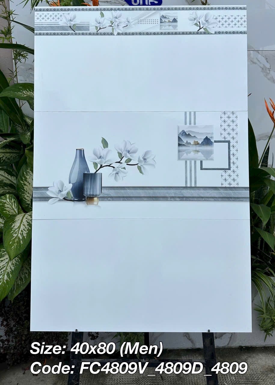 Gạch ốp tường 40x80cm-5202