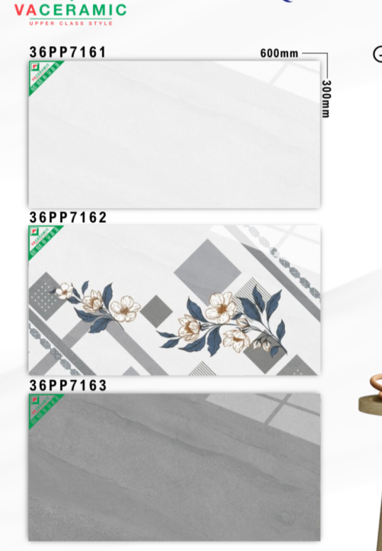 Gạch ốp tường 30x60cm-5418