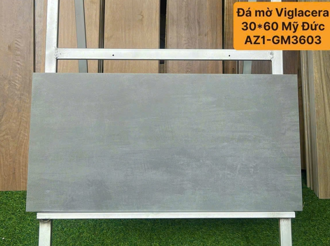 Gạch ốp lát 30x60cm-5447