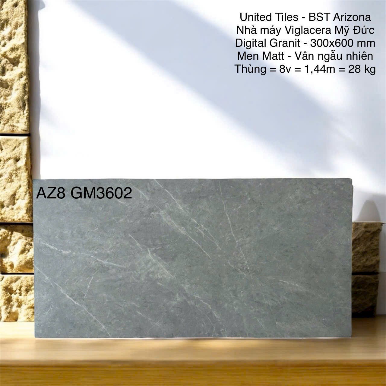 Gạch ốp lát 30x60cm-5460