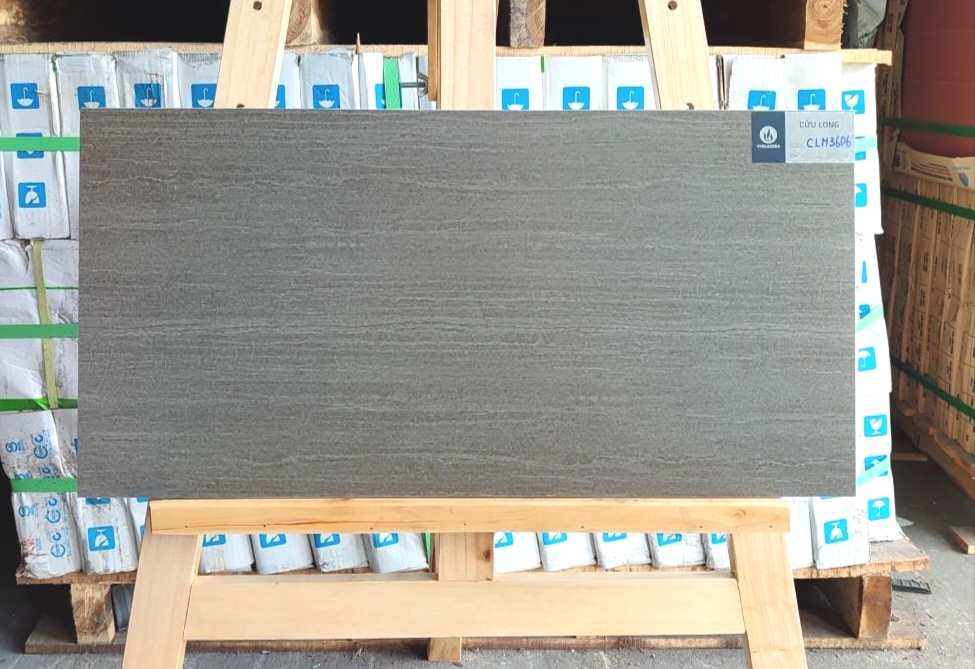 Gạch ốp lát 30x60cm-5473