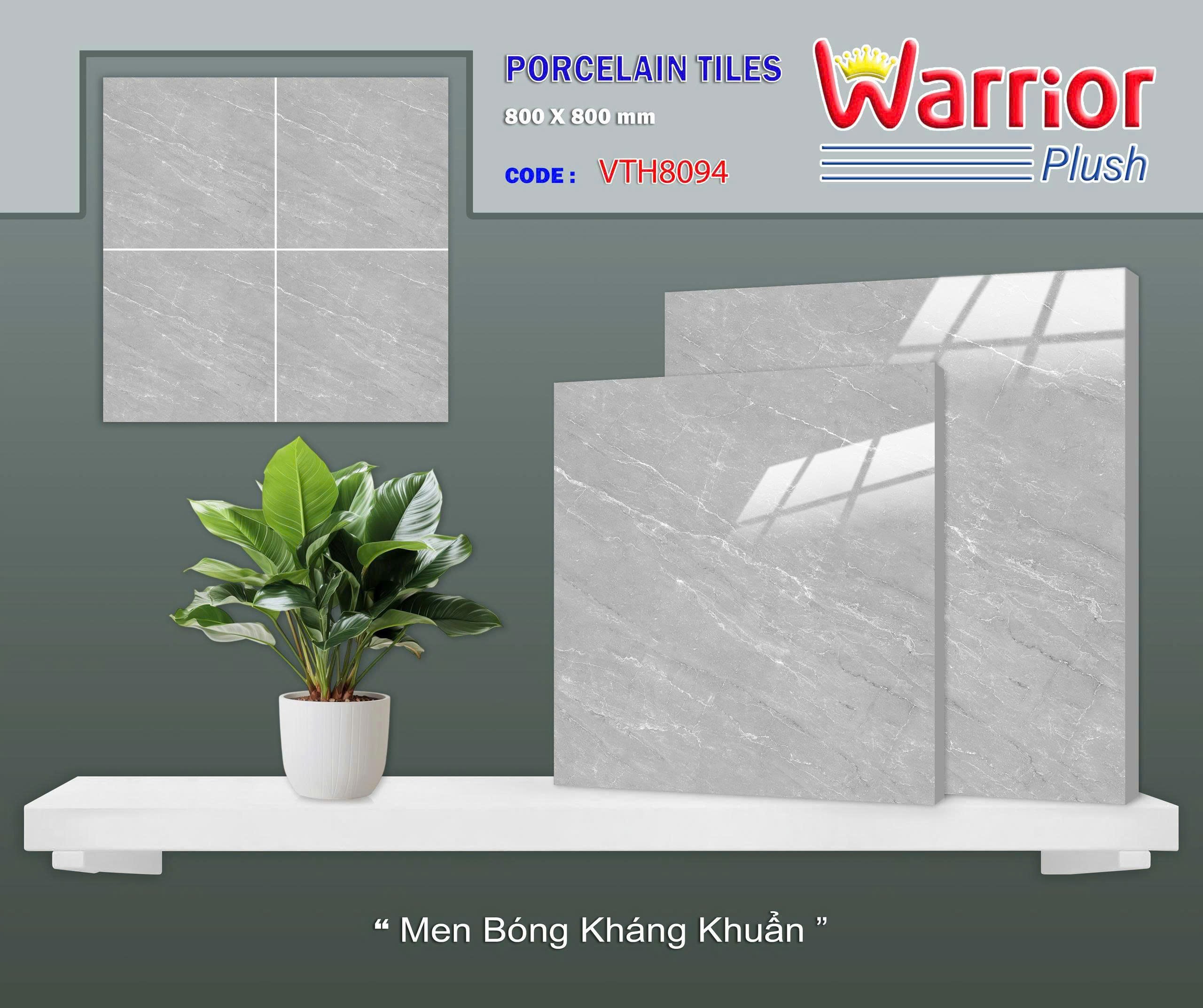 Gạch ốp lát 80x80cm -5529