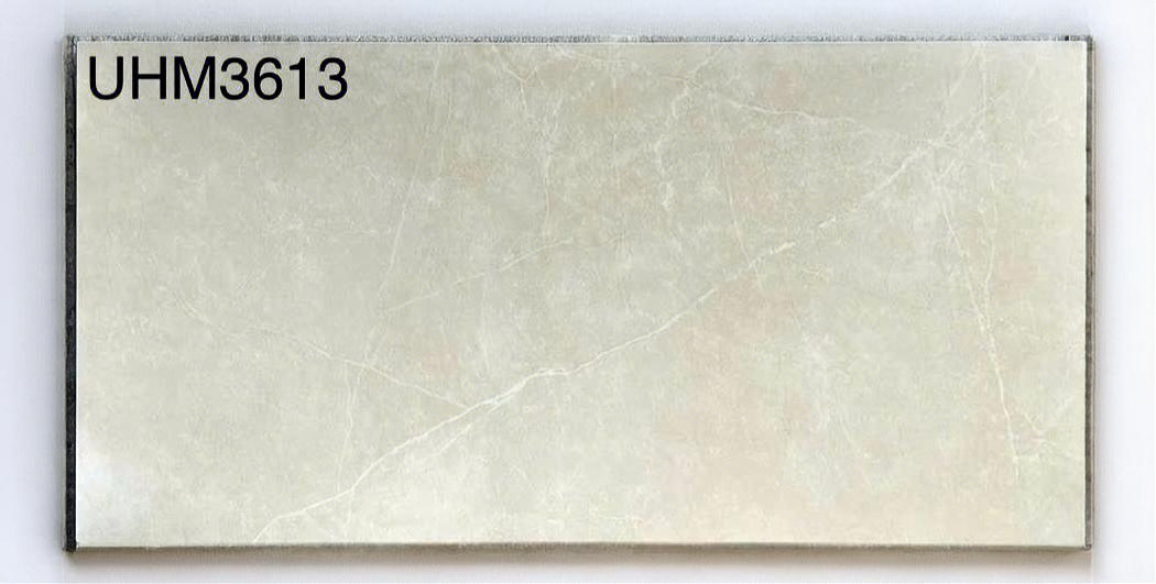 Gạch ốp lát 30x60cm Viglacera-5593