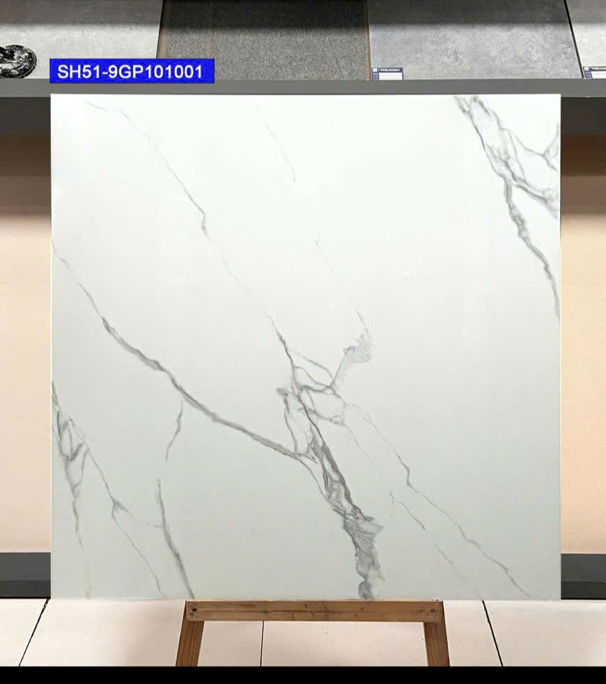 Gạch Lát Nền 100x100cm -5668