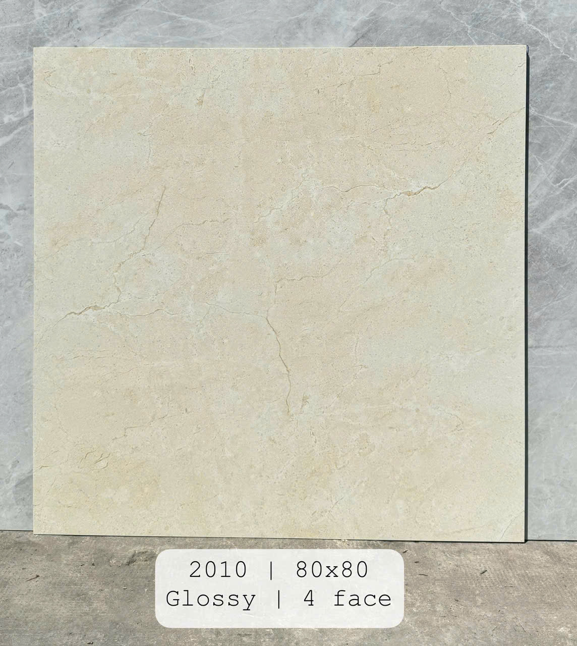 Gạch Lát Nền 80x80cm Nhập Khẩu Ấn Độ 2010-4855