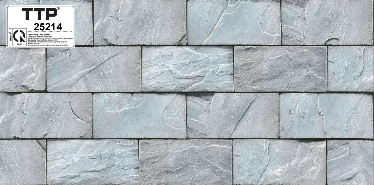 Gạch trang trí 25x50cm-5878
