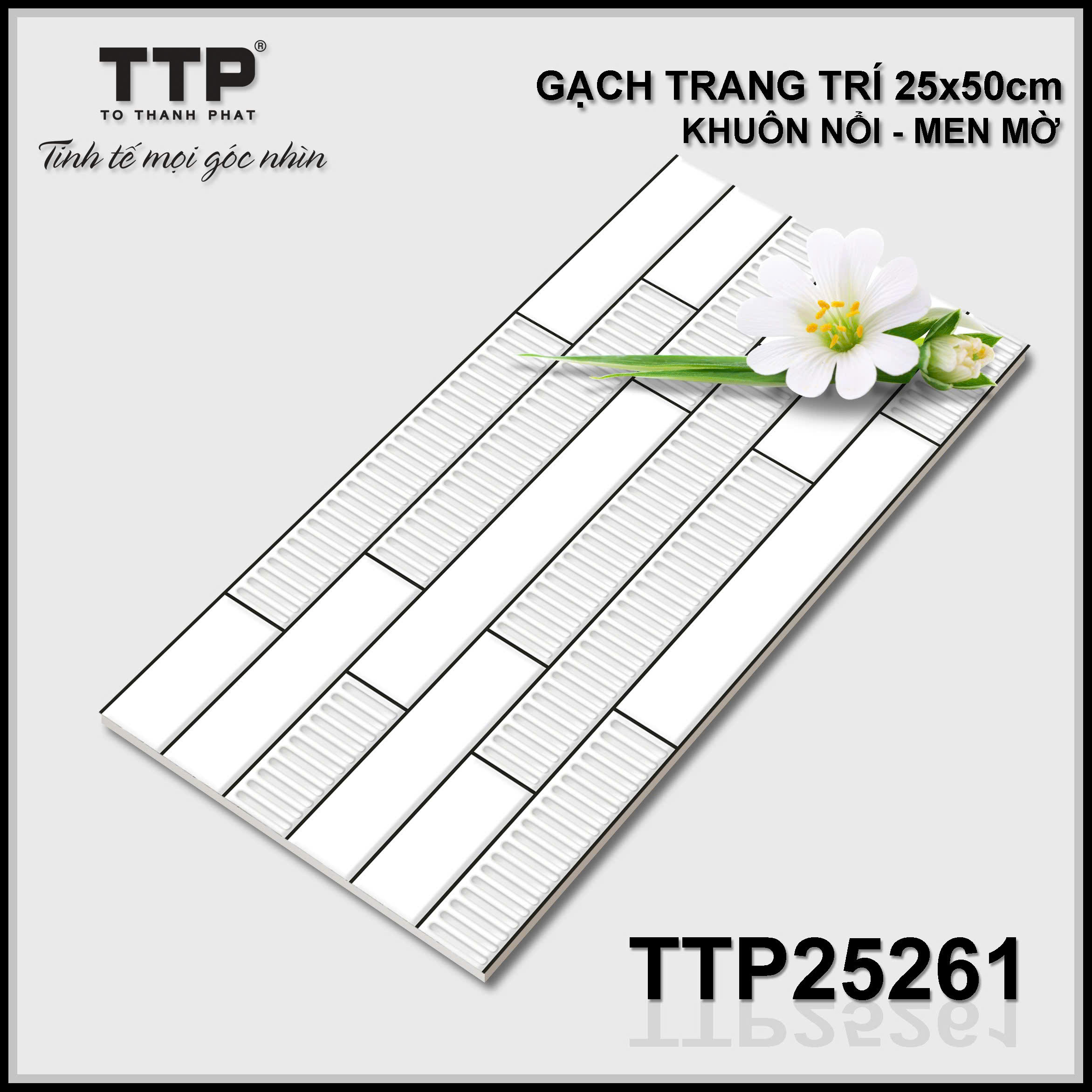 Gạch trang trí 25x50cm -5793