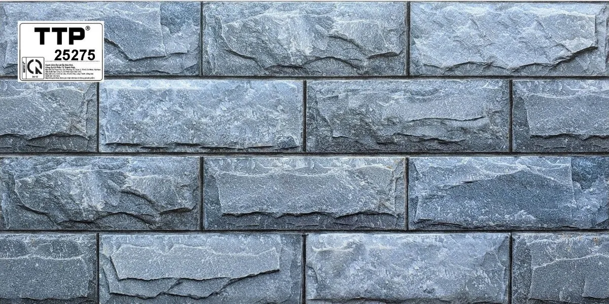 Gạch trang trí 25x50cm-5879