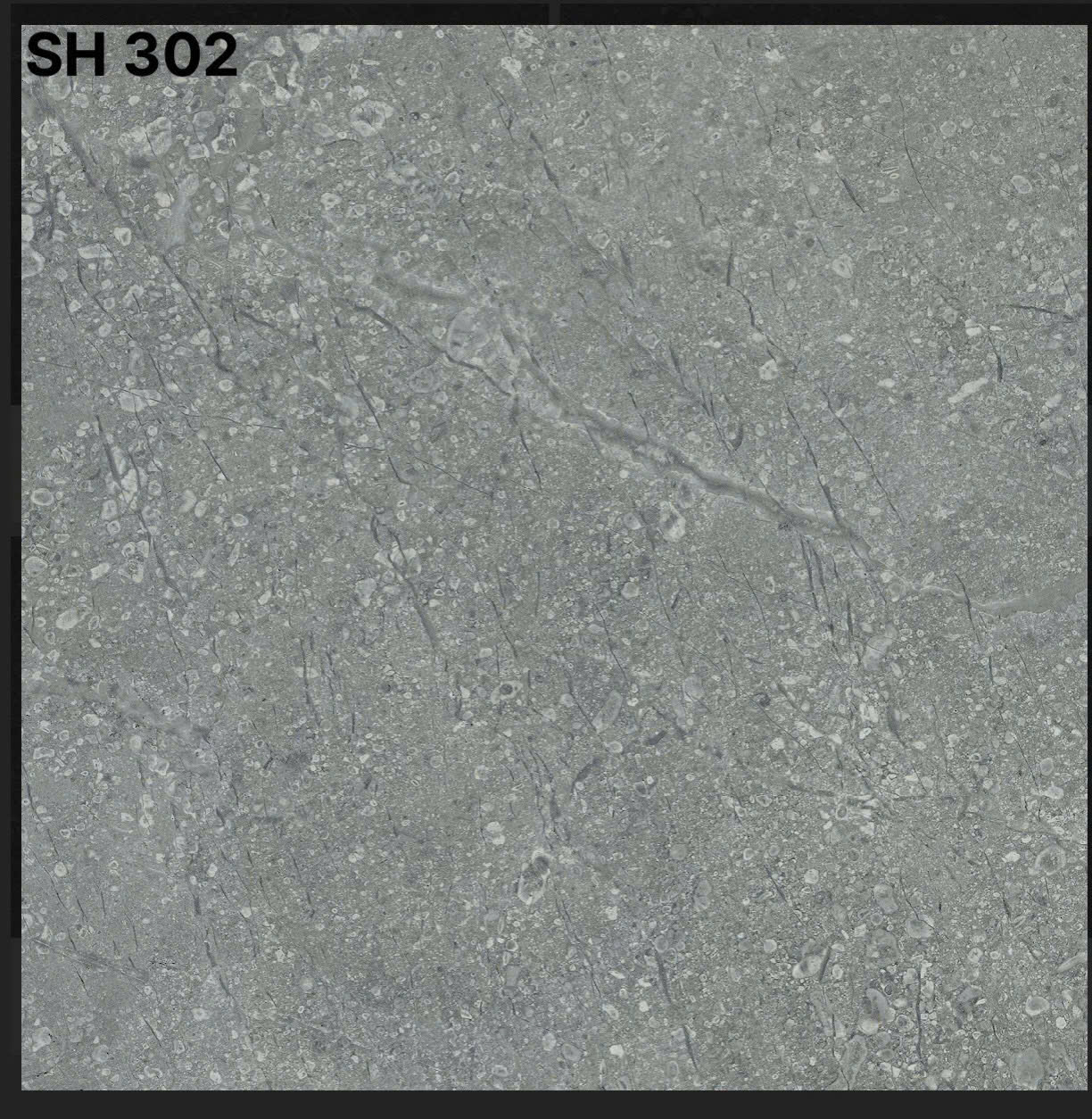 Gạch lát nền 30x30cm -5502