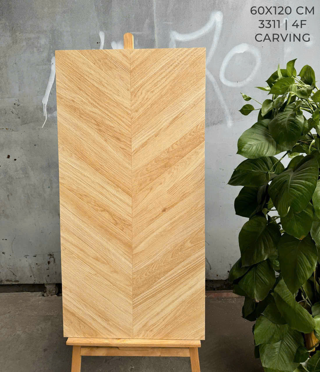 Gạch Lát Nền 60x120cm -5164