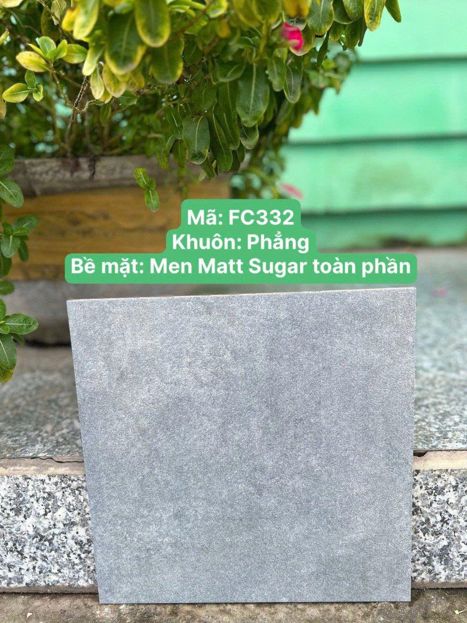 Gạch lót nền 30x30cm-5872