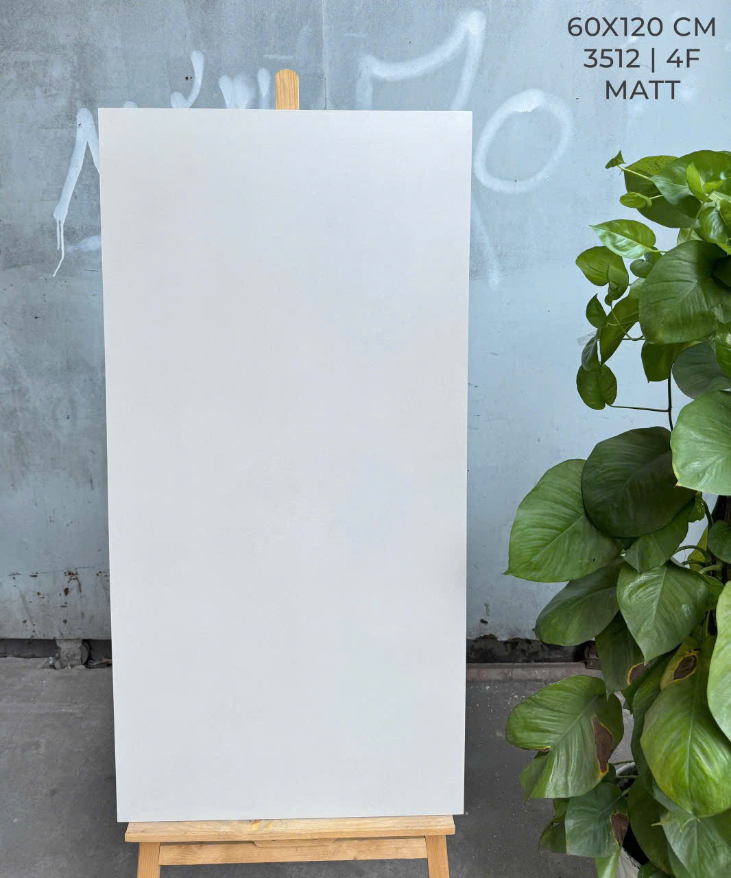 Gạch Lát Nền 60x120cm -5168