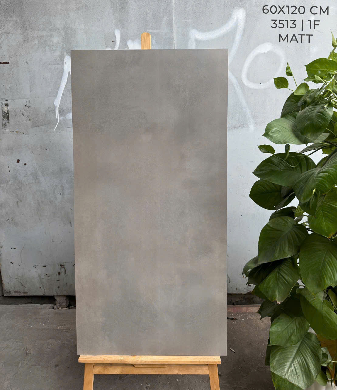 Gạch Lát Nền 60x120cm -5163