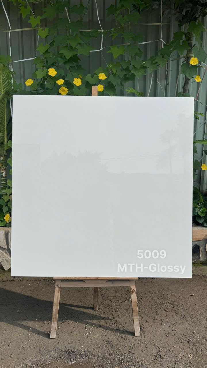 Gạch Lát Nền 120x100cm Nhập Khẩu Ấn Độ 5009-4843