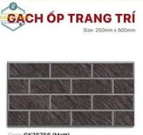 Gạch Trang Trí 25x50cm -5552