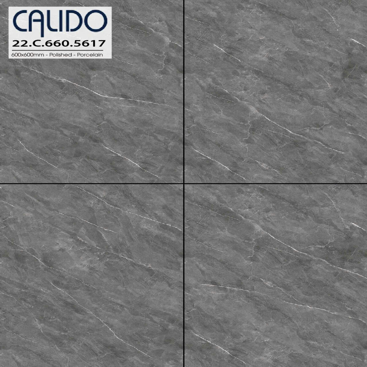 Gạch Lát Nền 60x60cm 5617-4773