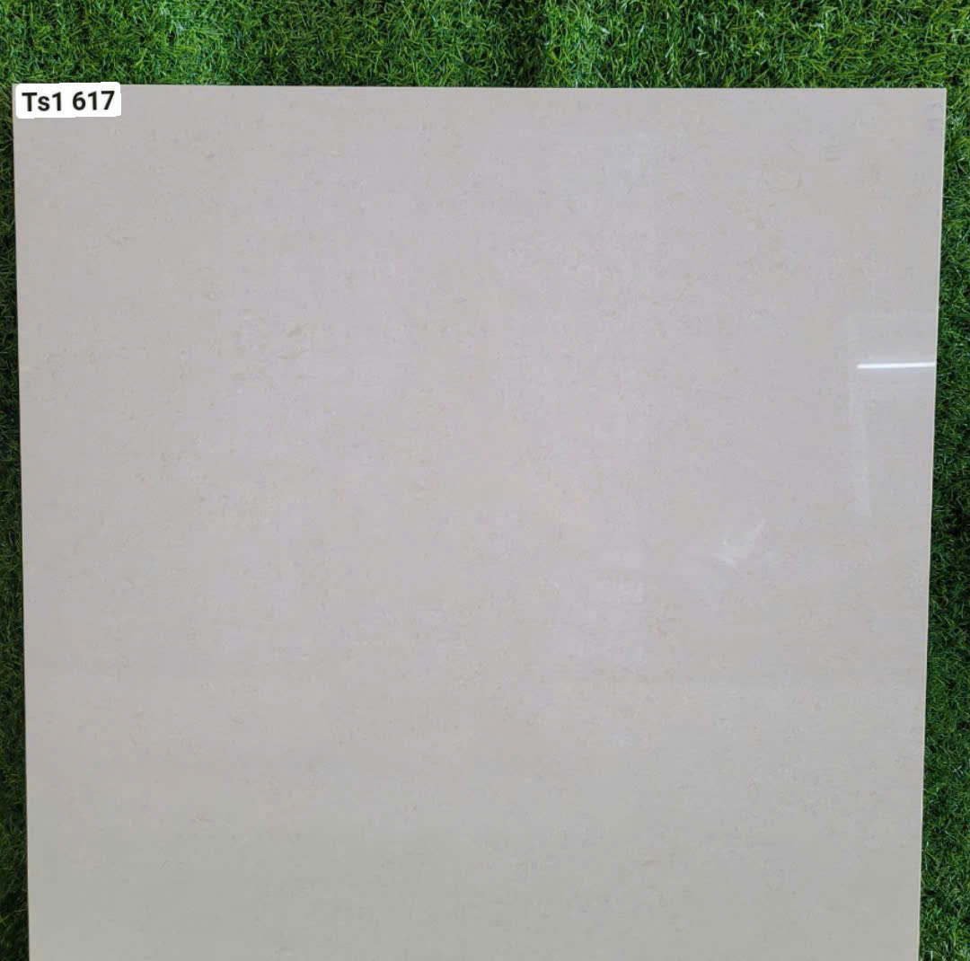 Gạch Lát Nền 60x60 2 Da 617-4696