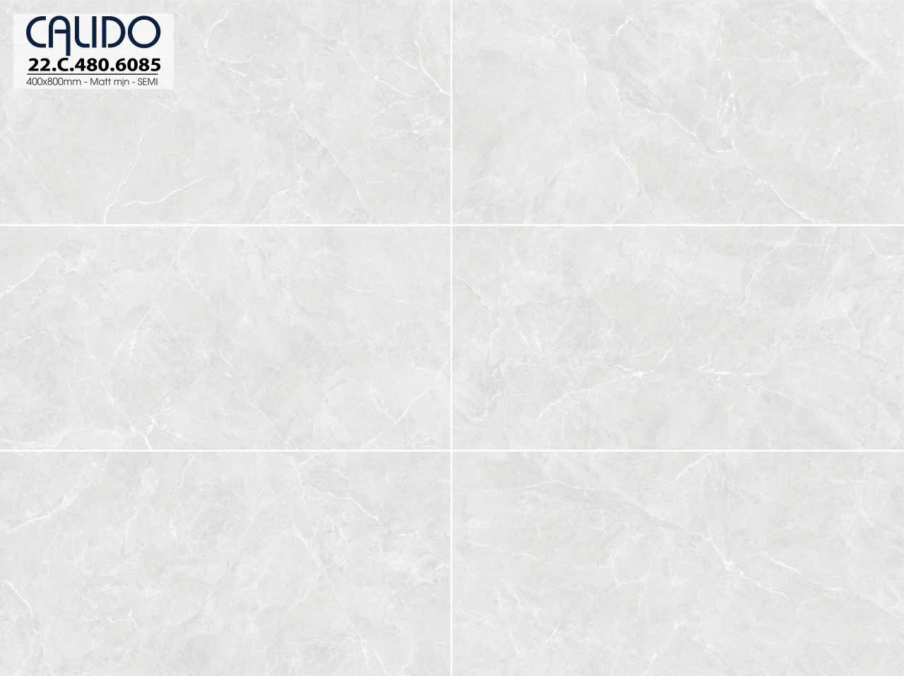 Gạch ốp lát 40x80cm -5255