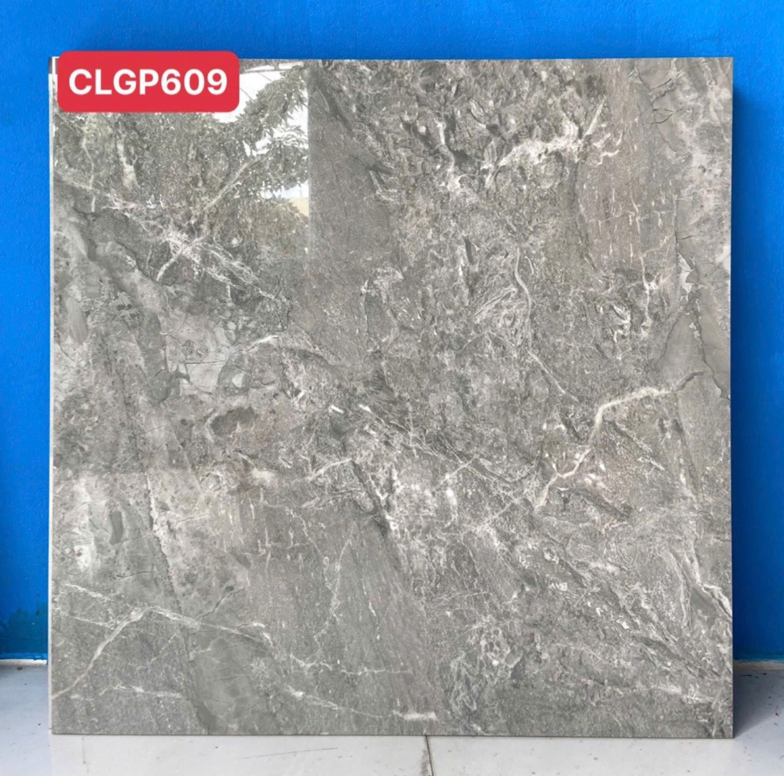 Gạch Lát Nền 60x60cm -5002