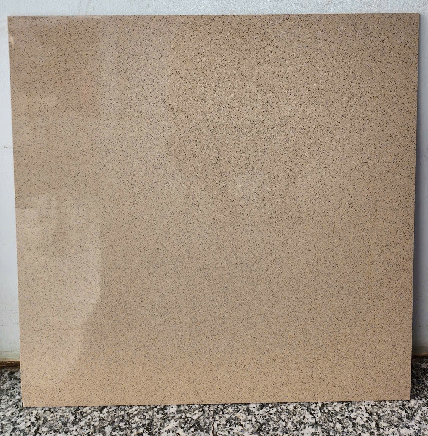 Gạch Lát Nền 60x60cm 6100B-4828