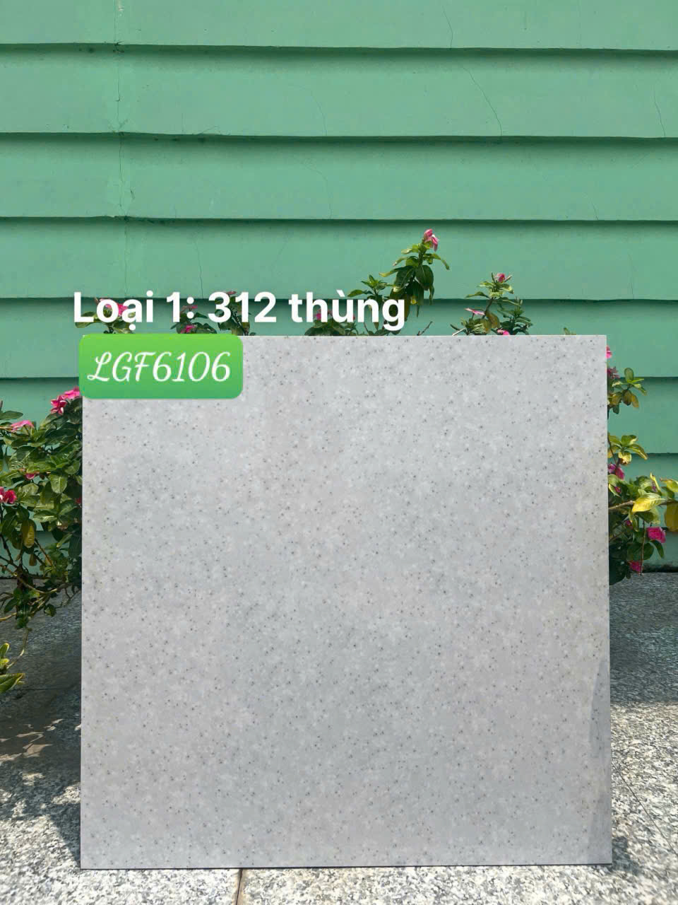 Gạch Lát Nền 60x60cm 6106-4840