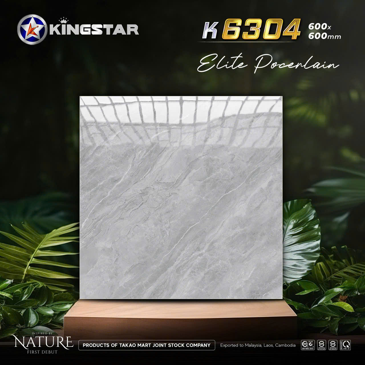 Gạch Lát Nền 60x60cm 6304-4722