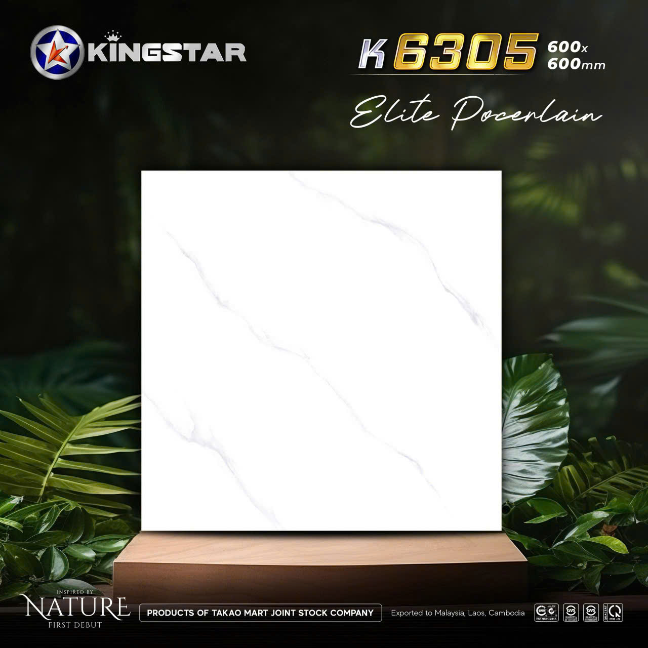 Gạch Lát Nền 60x60cm 6305-4721