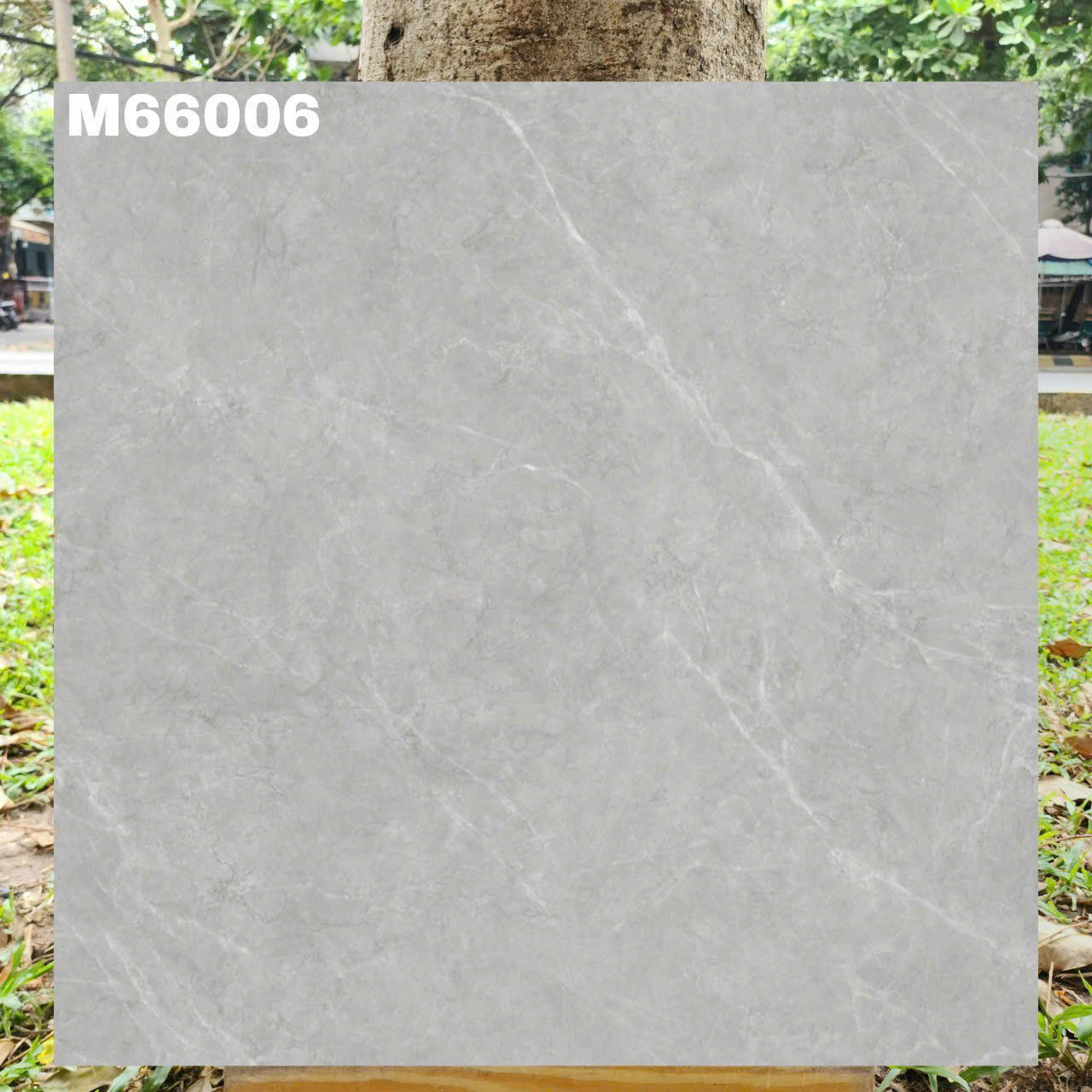 Gạch Lát Nền 60x60cm M66006-4825