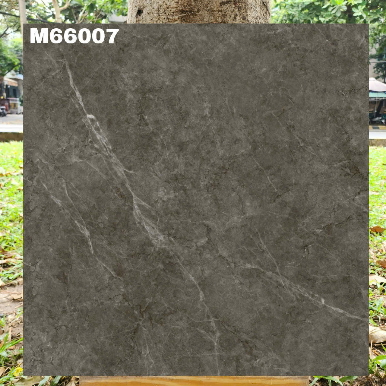 Gạch Lát Nền 60x60cm M66007-4826