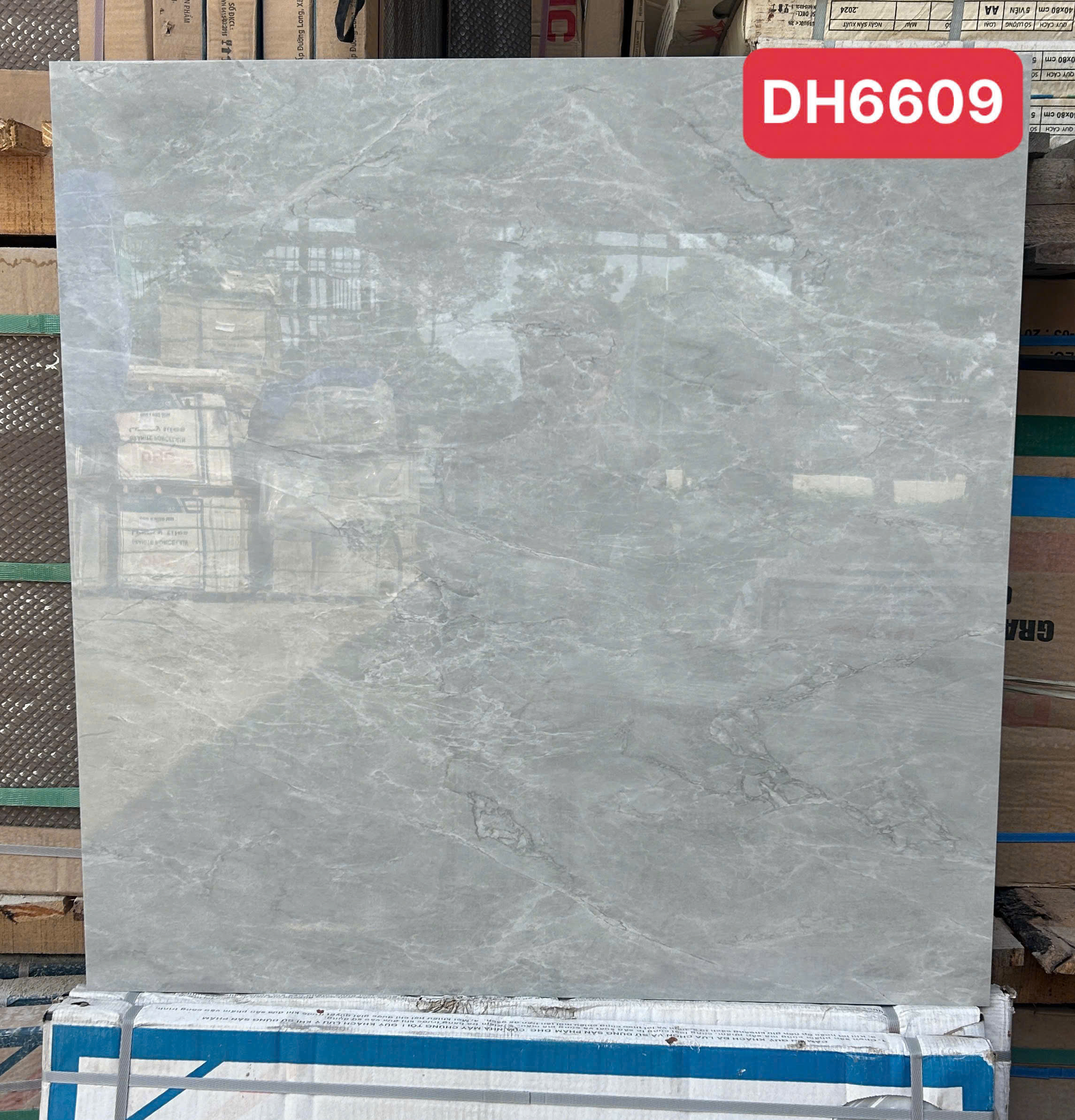 Gạch Lát Nền 60x60cm HA-5911