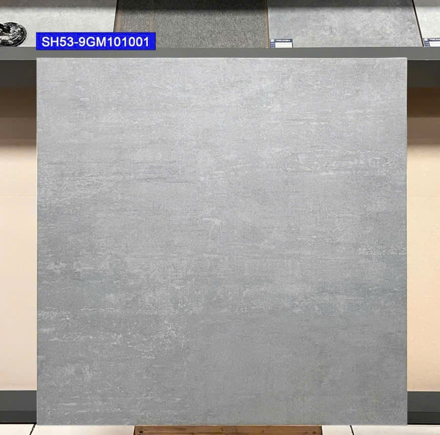 Gạch Lát Nền 100x100cm -5673