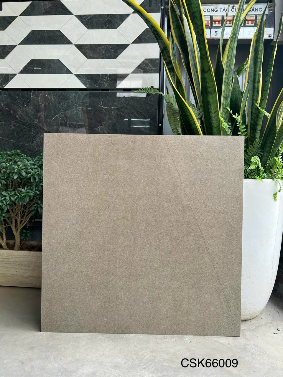 Gạch Lát Nền 60x60cm CSK66009-4765