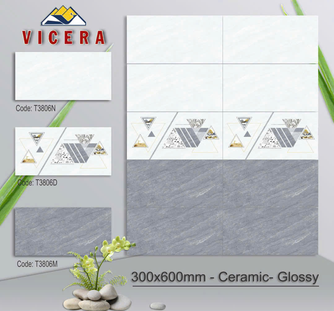 Gạch 30x60 T3806 Điểm-4184