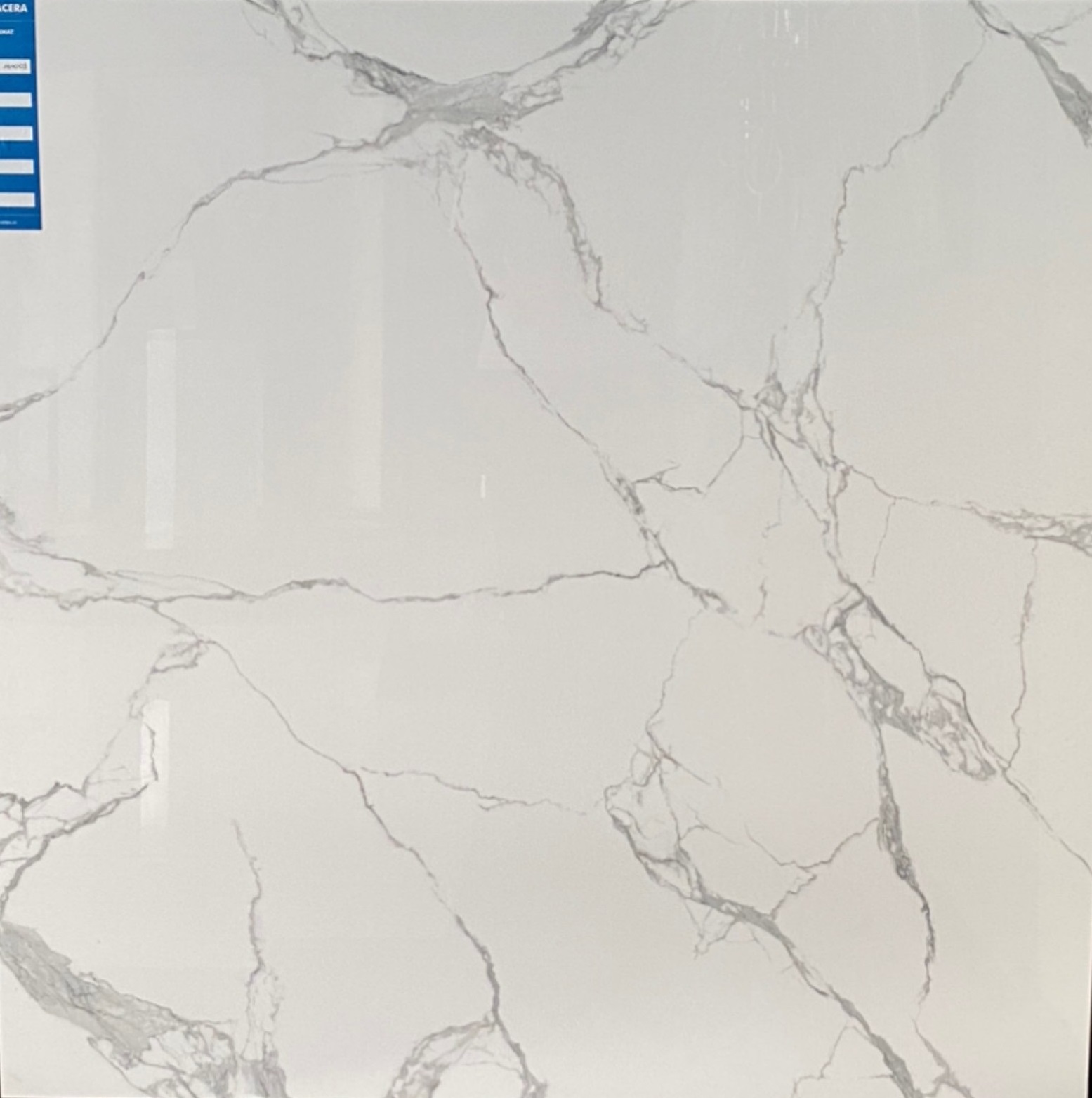 Gạch lát nền 100x100cm Viglacera -2054