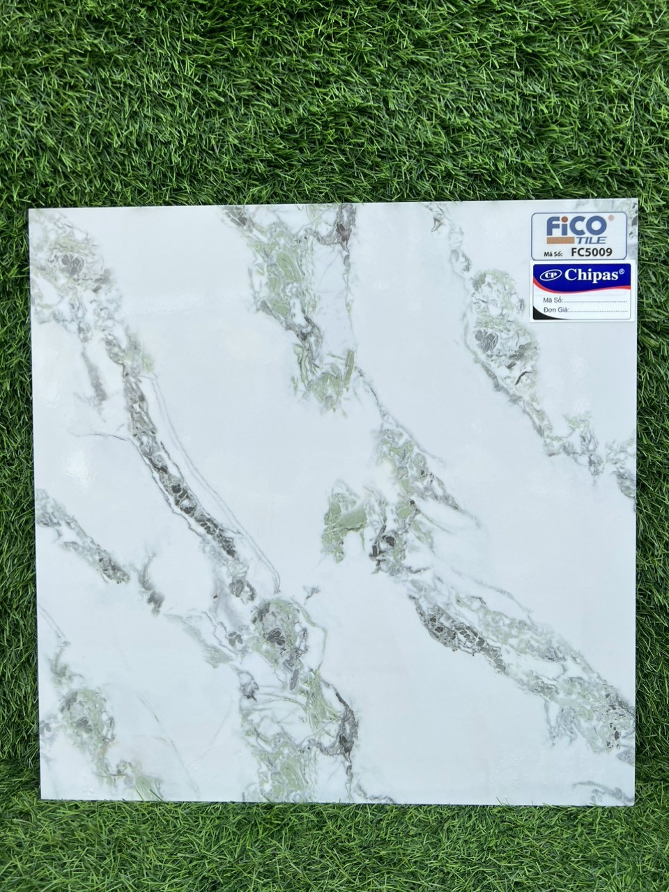 Gạch lát nền 50x50 FICO-1873