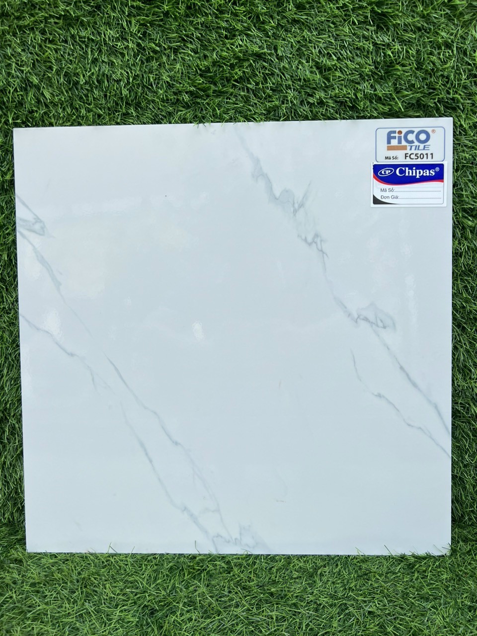Gạch lát nền 50x50 FICO-1869