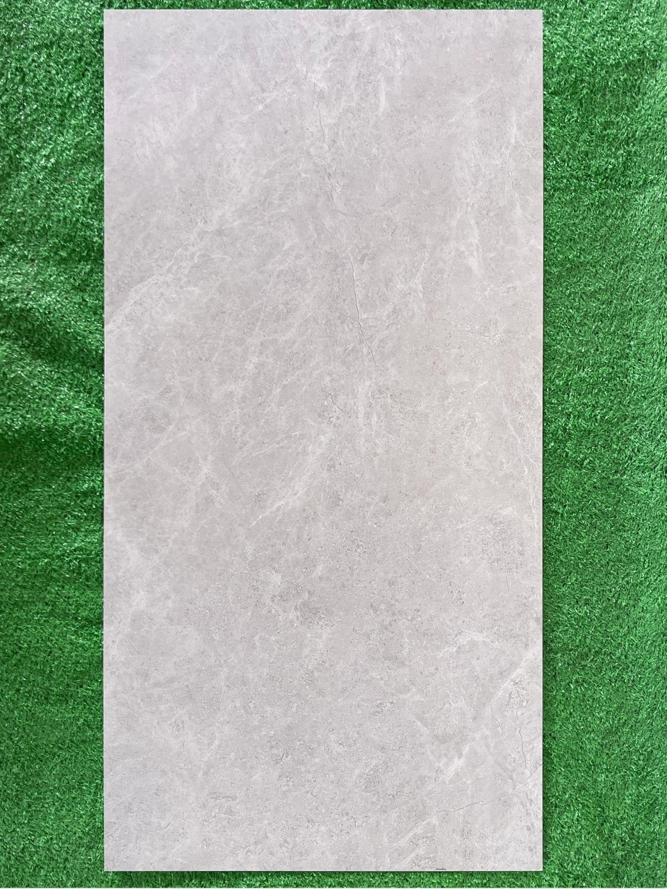 Gạch lát nền 60x120cm Viglacera-1969