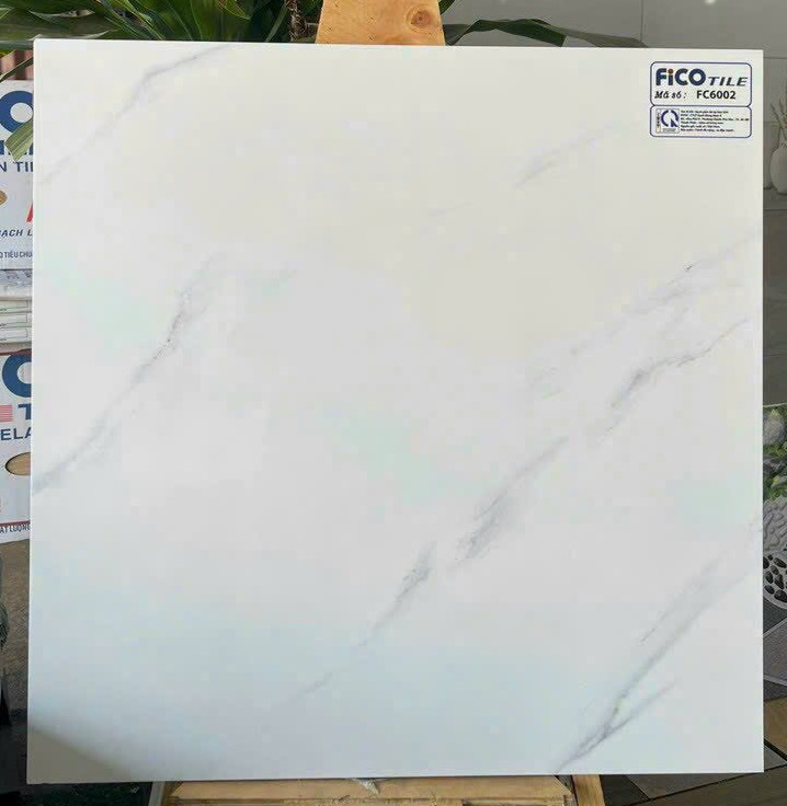 GẠCH LÁT NỀN 60X60 CERAMIC FICO-2961
