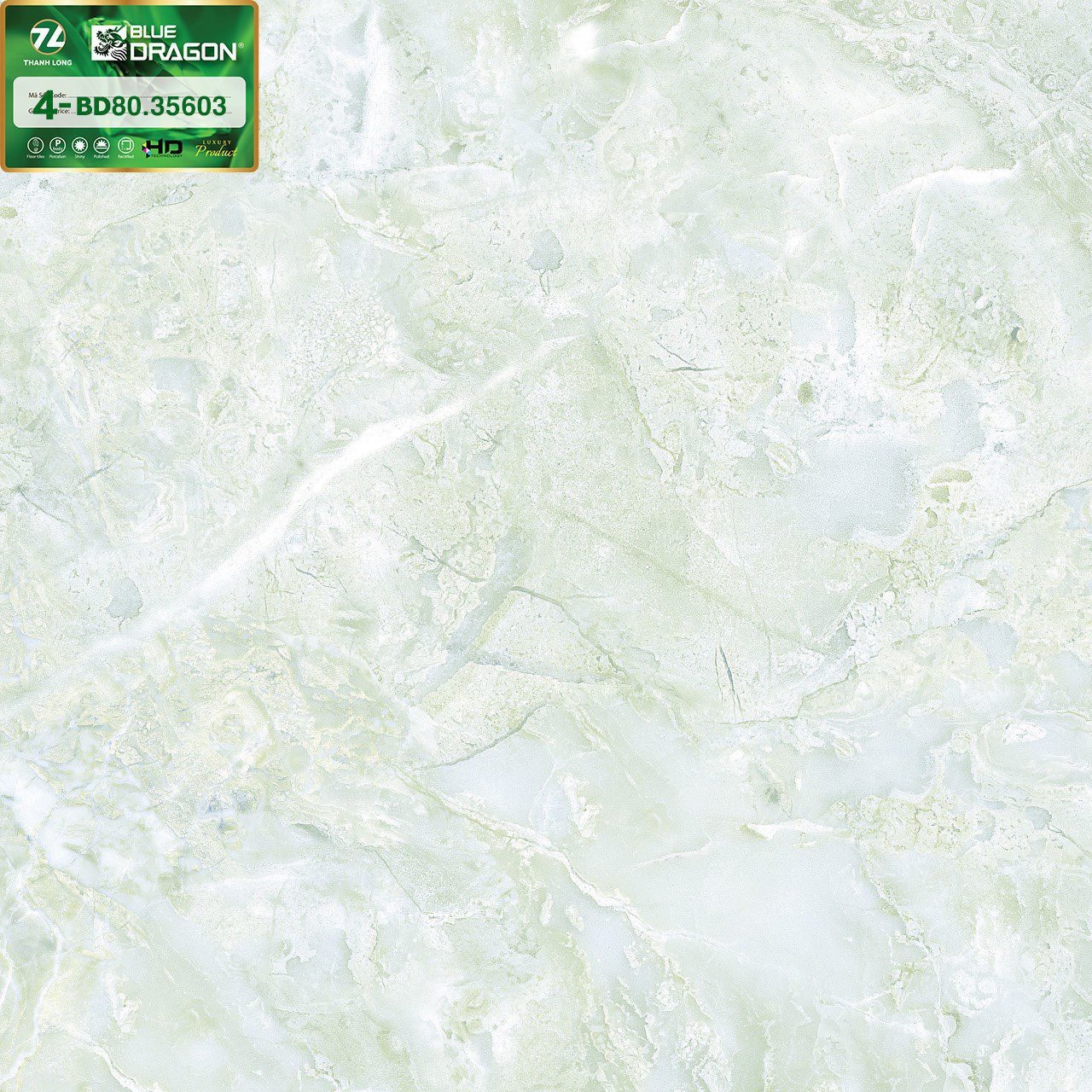 Gạch lát nền 60x60cm-1009