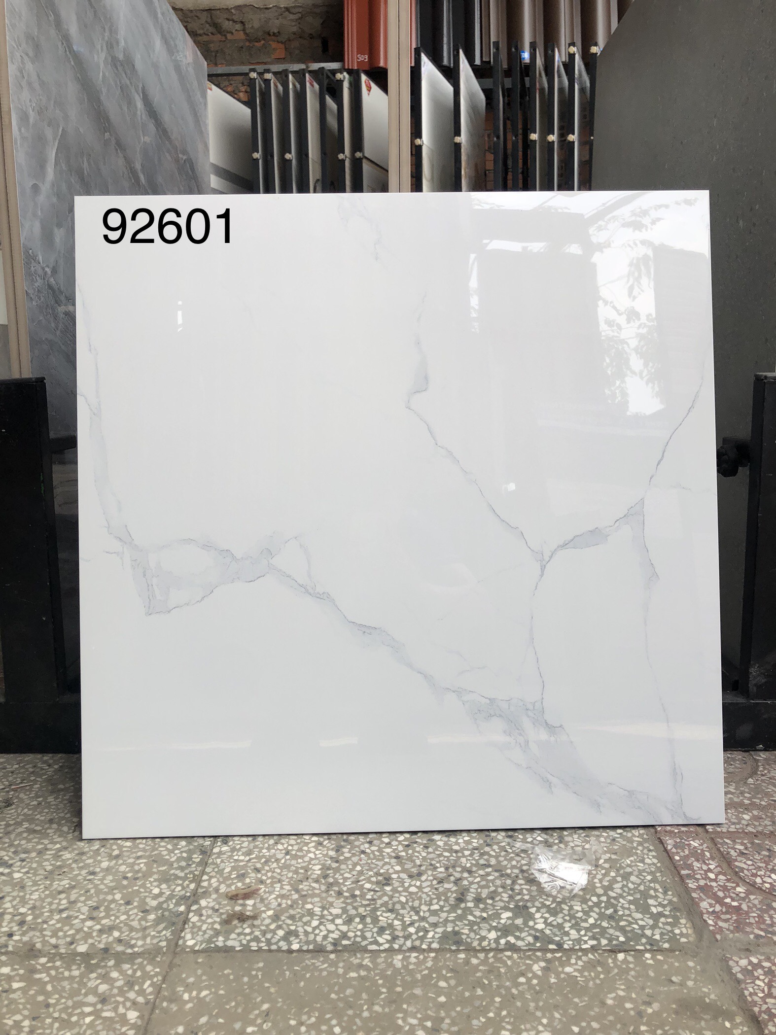 Gạch lát nền 60x60cm TAKAO-913