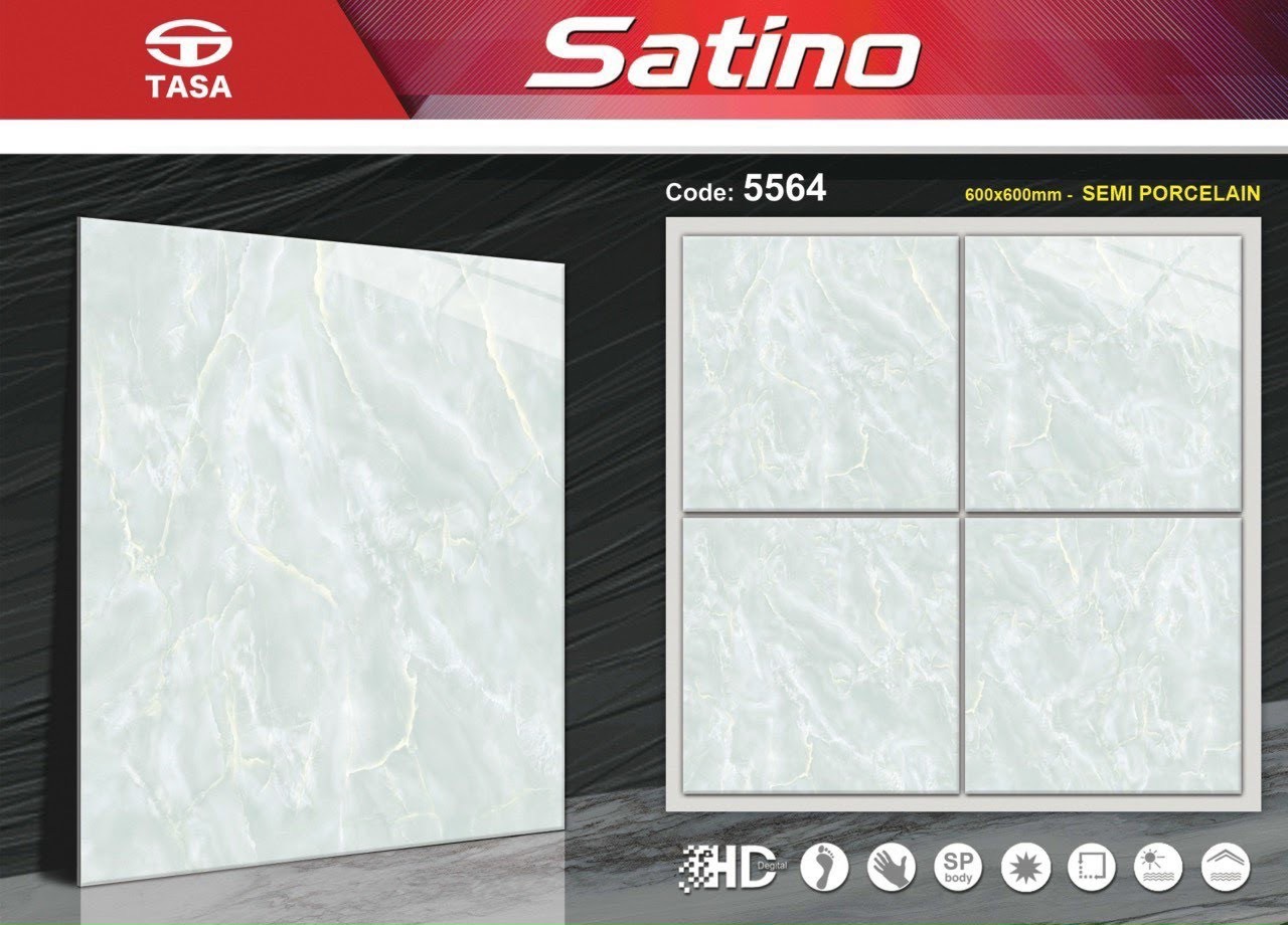 Gạch lát nền 60x60cm TASA-1091