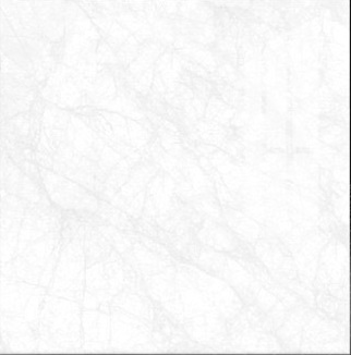 Gạch lát nền 60x60cm TASA-1098