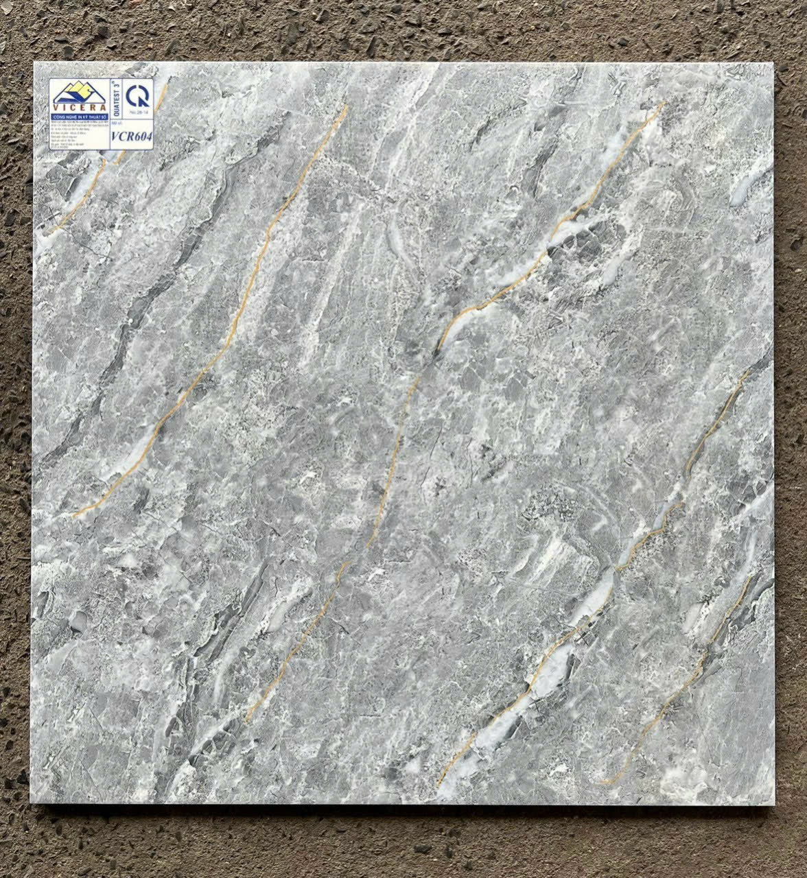 Gạch lát nền 60x60cm VICERA-865