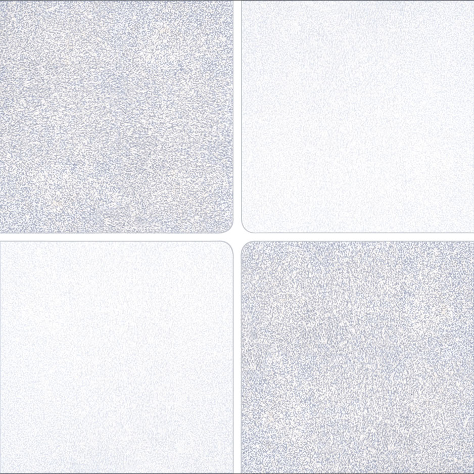 Gạch lát nhà tắm vicera 30x30cm-2721