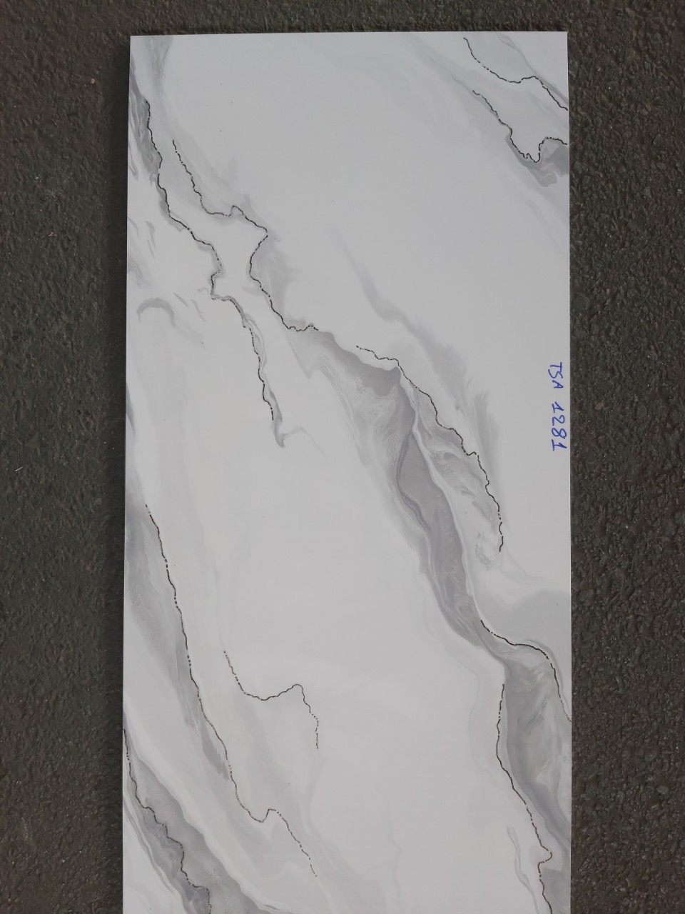 Gạch ốp lát 60x120cm TASA-1563