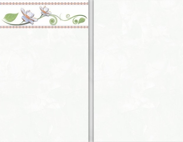 Gạch ốp tường 25x40cm Prime-2402