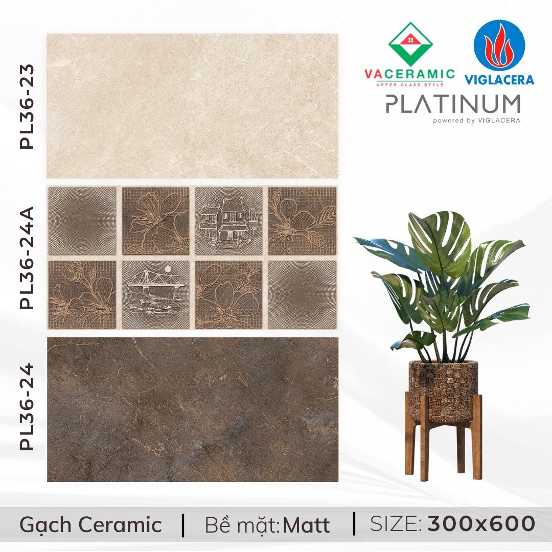 Gạch ốp tường 30x60 Viglacera -994
